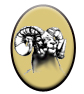 Visit Shedhorn Sports