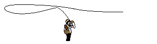 animated flycaster